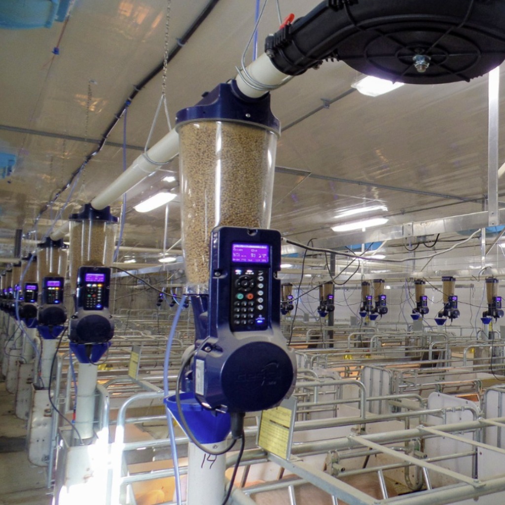 GESTAL Solo+: Sistema de alimentación de precisión para alimentación y manejo de cerdas lactantes