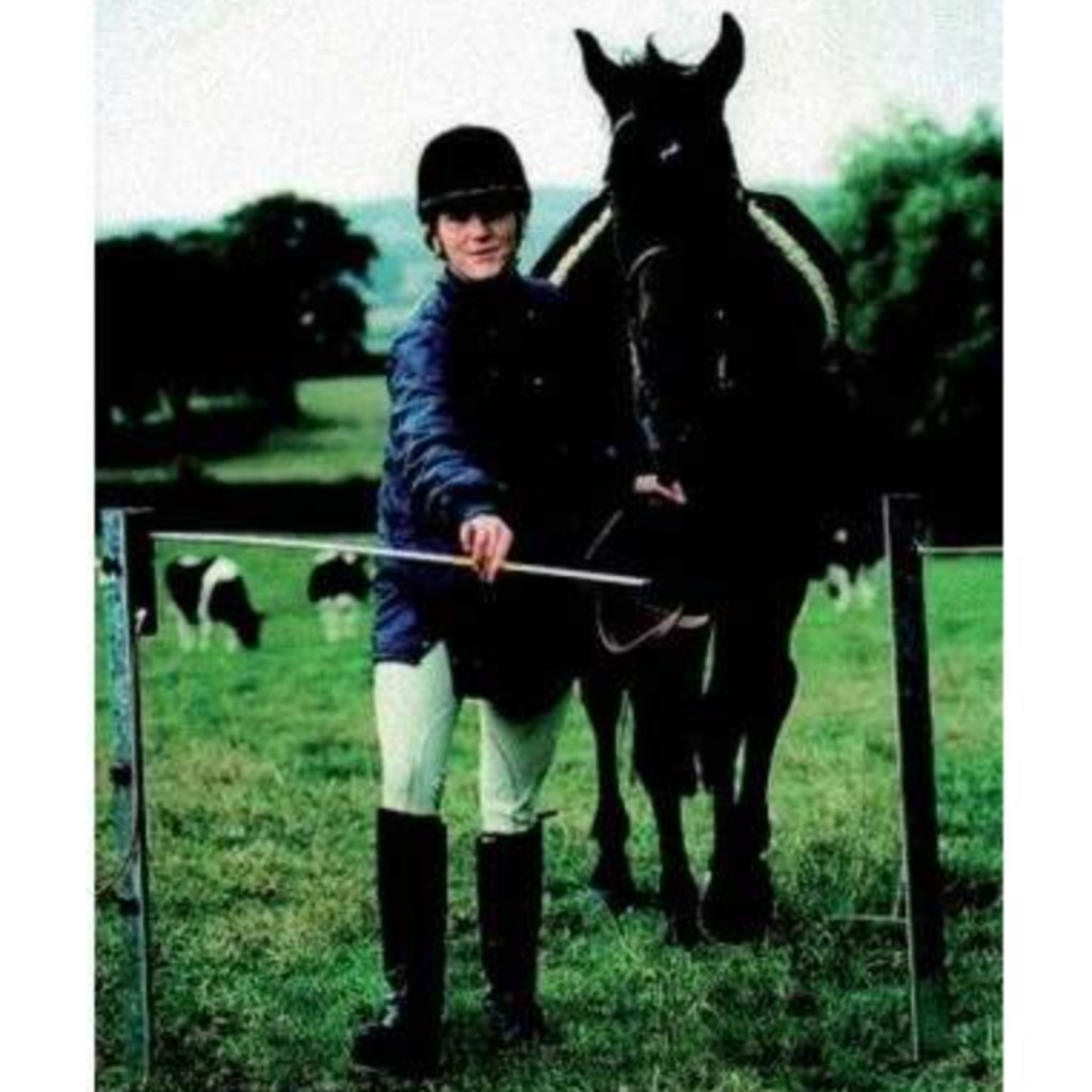 Kit Electrogate 1,20 m cancello elettrico per recinzione