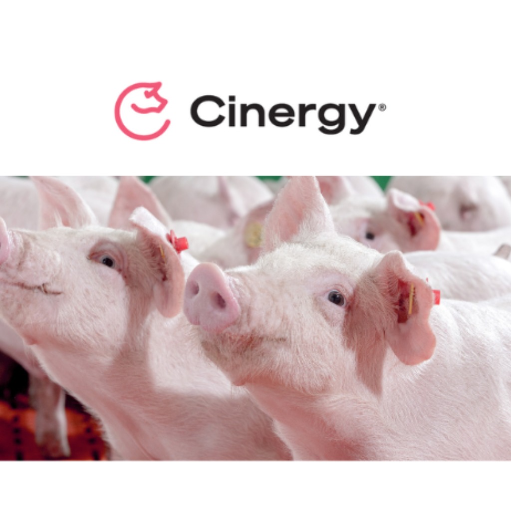 Cinergy™ Protect