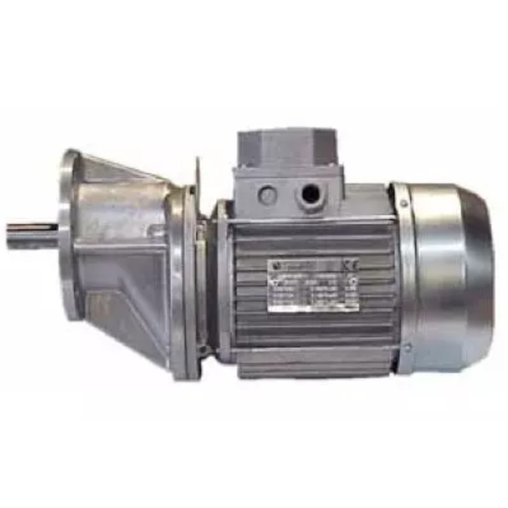Three-phase gear motor 300rpm 075Kw 50Hz / 1cv / 1hp for automatic feeding system