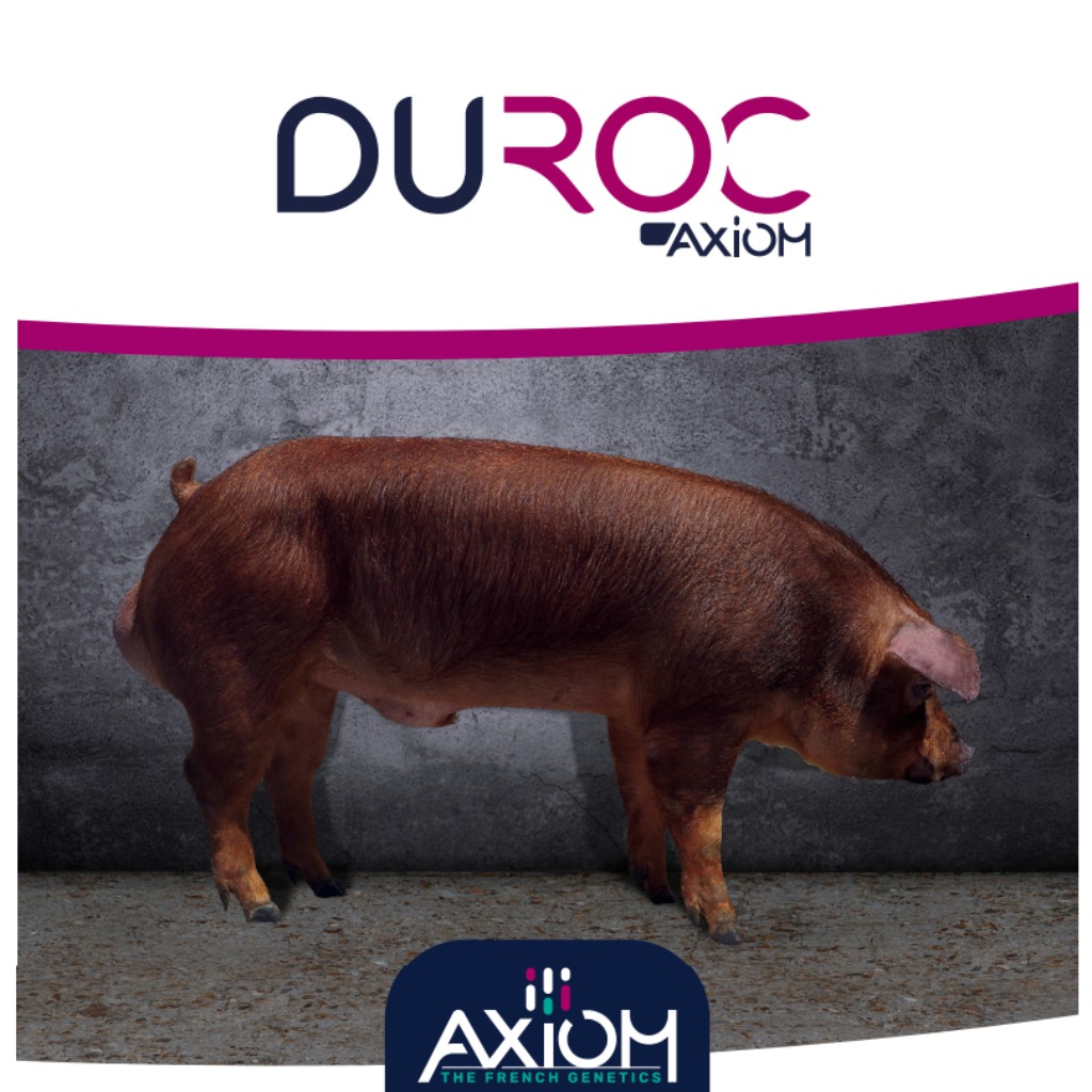 Duroc Axiom