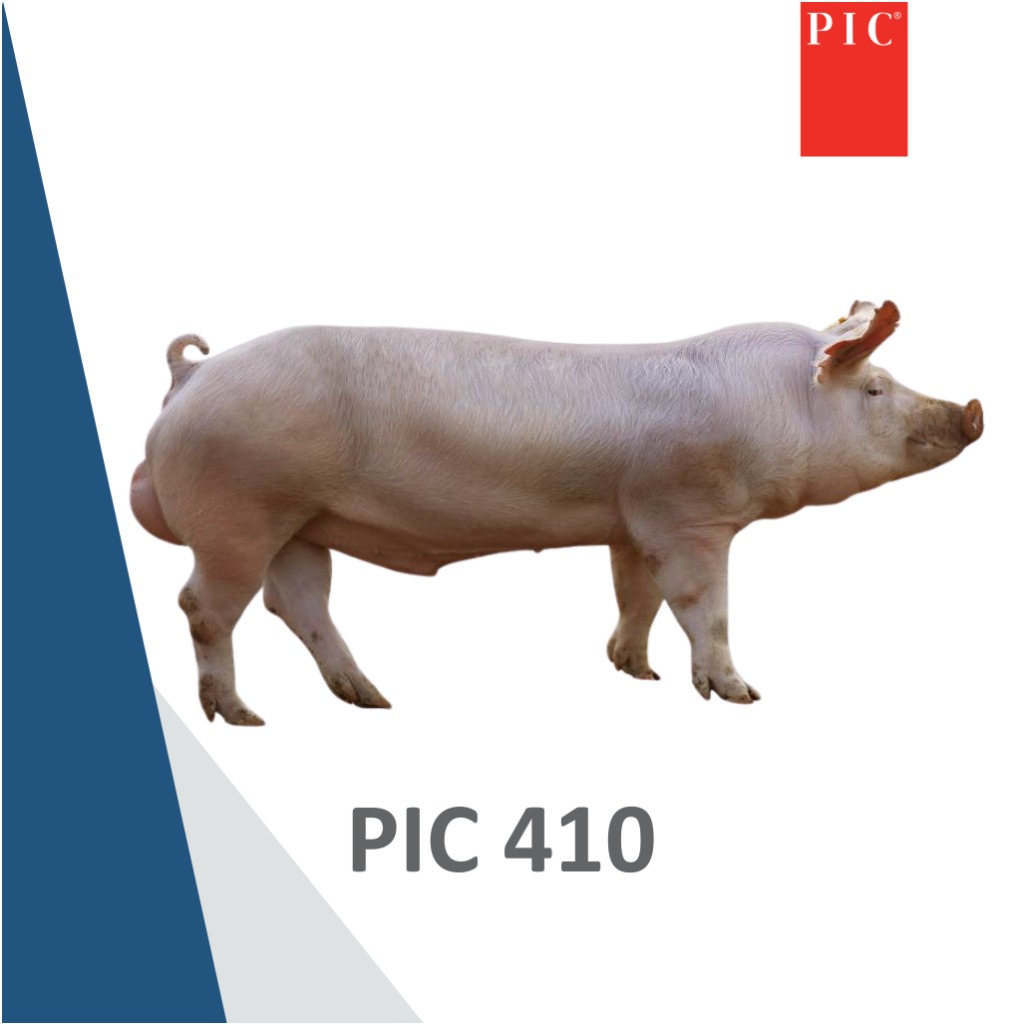 PIC 410