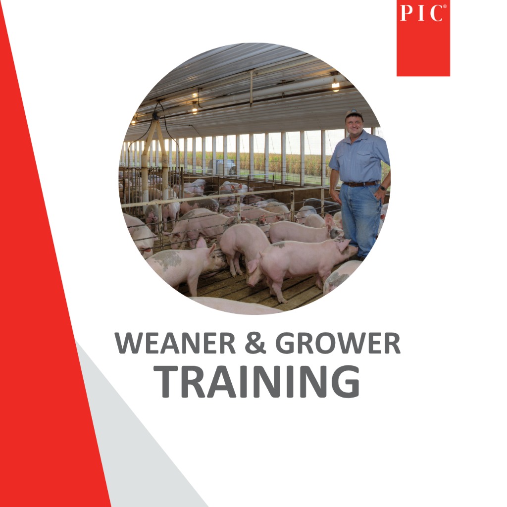 ONLINE Weaner & Grower Training - 15 Oct 2025
