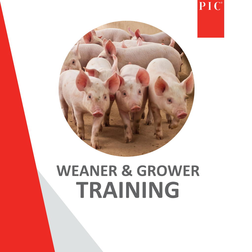 ONLINE Weaner and Grower Training - 27 May 2026