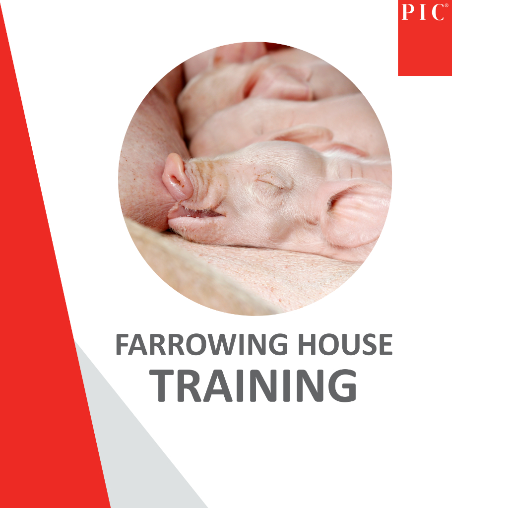 ONLINE Farrowing House Training - 4 Nov 2026