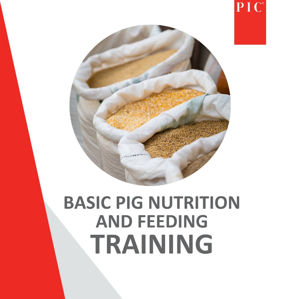 ONLINE Basic pig nutrition and feeding - 26 Aug 2026