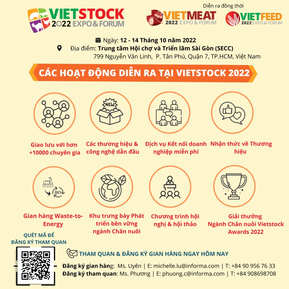 vietstock
