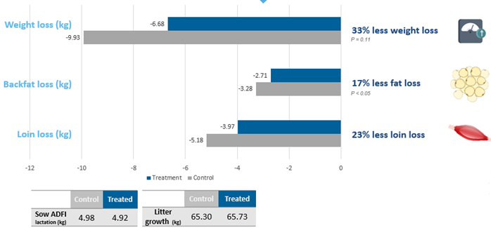 Figure 2 – Trial results – Body reserves mobilization in the control and treated groups. Commercial farm, The Netherlands.