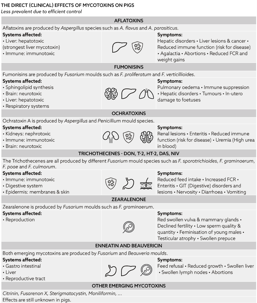 TOXFIN_Mycotoxins in pigs_Direct effects