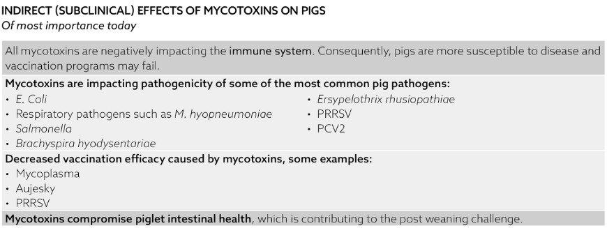 TOXFIN_Mycotoxins in pigs_Indirect effects