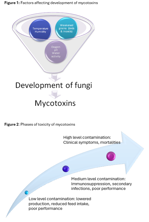 20250414_Kemin Mycotoxin article_Figures 1-2