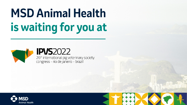 MSD Animal Health is waiting for you at the IPVS in Rio - MSD - 333's  Business directory & guide - pig333, pig to pork community