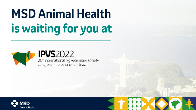 MSD Animal Health is waiting for you at the IPVS in Rio - MSD - 333's Business directory & guide - pig333, pig to pork community MSD Animal Health is waiting for you at the IPVS in Rio - MSD - 333's Business directory & guide - pig333, pig to pork community