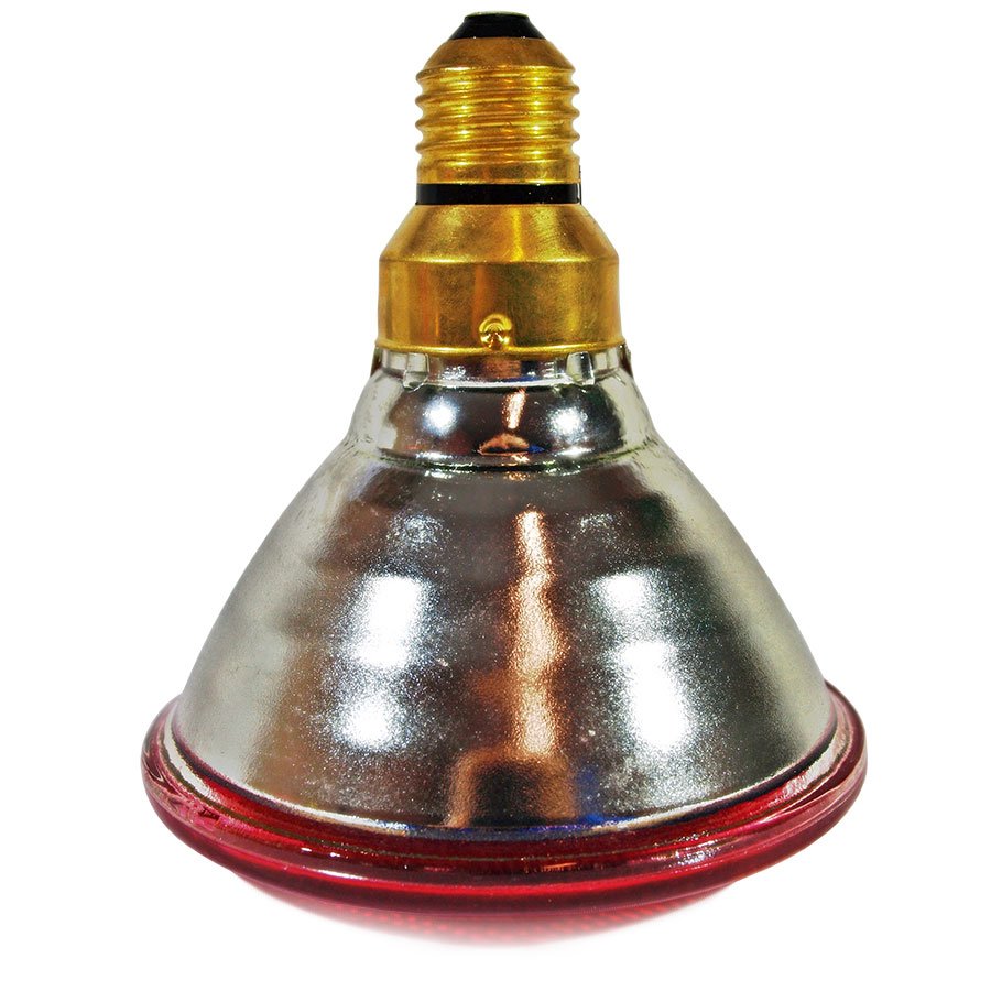 333 Lamp 175W White-Red PAR (5) 333 Lamp 175W White-Red PAR (5)