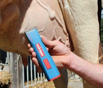 Clipper Heiniger Saphir, cordless battery. Bovine (11) Clipper Heiniger Saphir, cordless battery. Bovine (11)