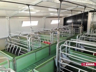 Farrowing crate (7) Farrowing crate (7)