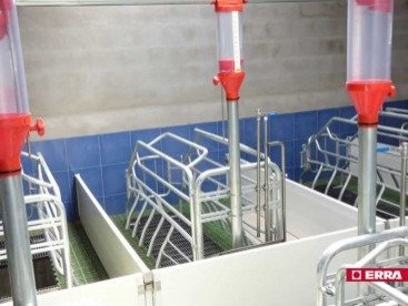 Farrowing crate (5) Farrowing crate (5)
