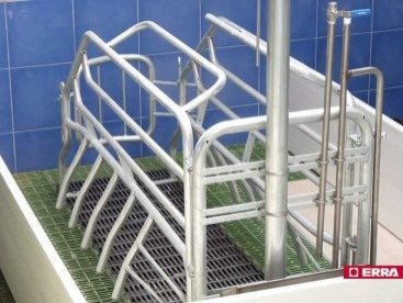 Farrowing crate (3) Farrowing crate (3)