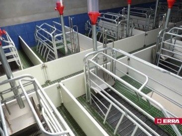 Farrowing crate (2) Farrowing crate (2)