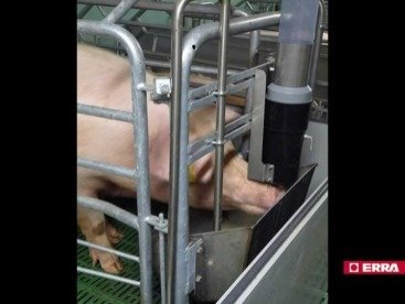 Farrowing crate Farrowing crate
