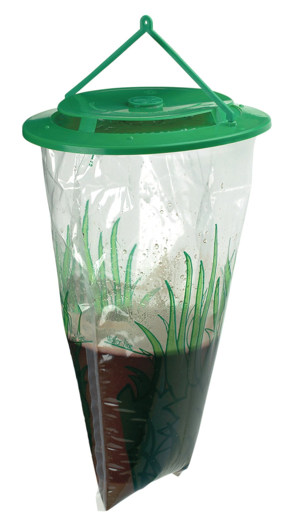 the fly trap