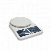Precision scale Precision scale