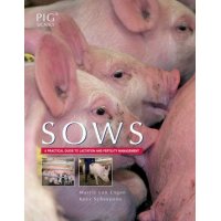 Sows Sows