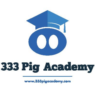 Pig Academy 333