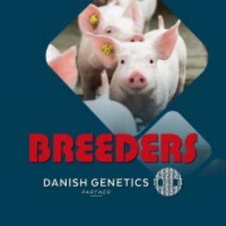 Breeders of Denmark A/S - Danish Genetics Partner