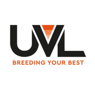 UVL