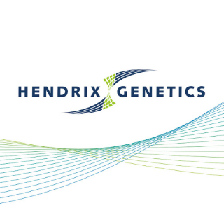 Hendrix Genetics IT