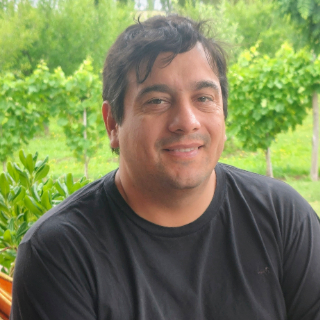 ENZO FERNANDEZ