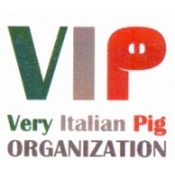 Vip Organization