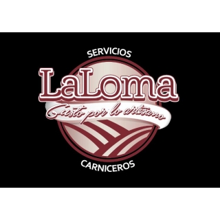 Antonio Alfonso  Fernandez Fernández 